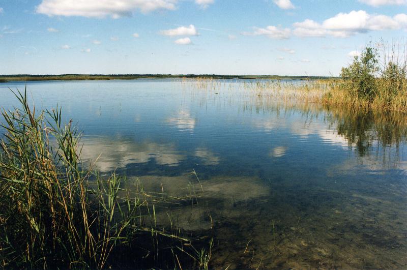 File:Pärnumaa_Tõstamaa_Ermistu järv_1999.jpg